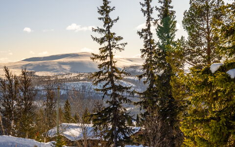 Solgläntan: Ciel, Neige, Branche, Arbre, L'Hiver, Environnement Naturel, Région Sauvage, Forêt, Terrain, Gelé