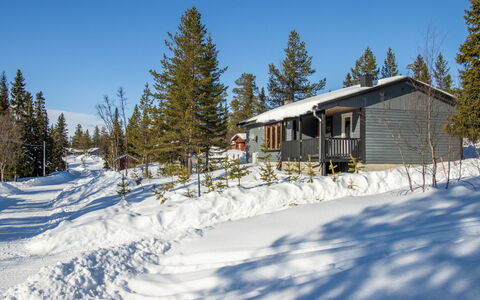 Solgläntan: Neige, Arbre, Branche, L'Hiver, Maison, Chalet, Domicile, Gelé, Pente, Mélèze