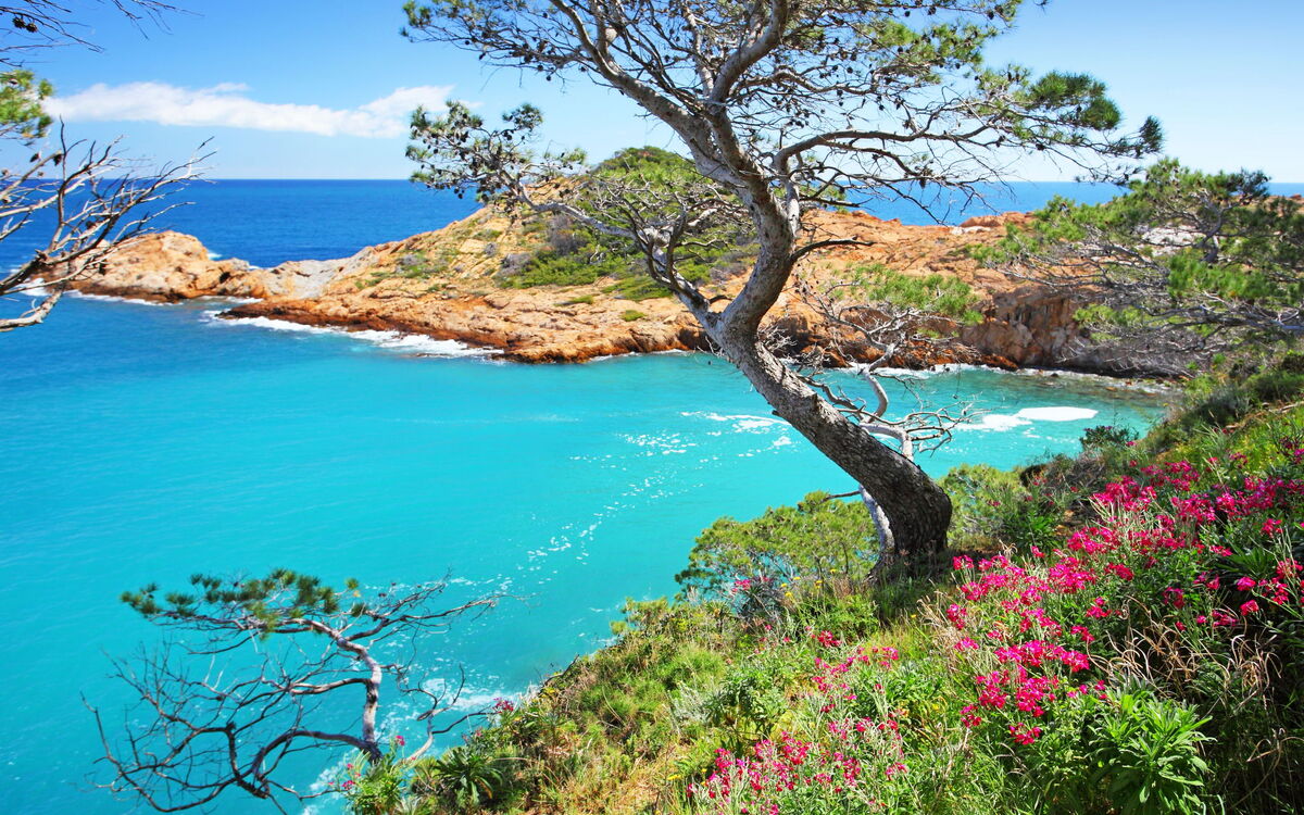 Cala Moreta