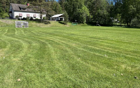 Skolhuset: Herbe, Arbre, Prairie, Arbuste, Lot Terre, Pelouse, Plaine, Prairie, Couverture De Sol