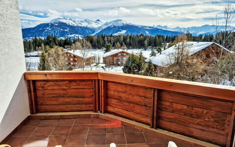Crans-Léman 5: Bois, Chaîne De Montagnes, Tache De Bois, Vallée, Alpes, Dur, Balcon, Crête, Planche, L'Hiver