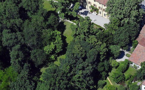 Villa Castellani: Arbre, Zone Résidentielle, Maison, Arbuste, Domicile, Lot Terre, Biens, Établissements Humains, Pelouse, Manoir