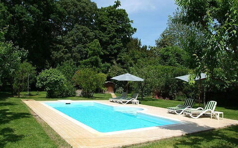Villa Castellani: Piscine, Jardin, Recours, Ombre, Arrière-Cour, Aménagement Paysager, Pelouse, Loisir, Eco Hôtel