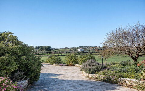 Trulli al Verde Viburno: Arbuste, Jardin, Communauté Des Plantes, Couverture De Sol, Aménagement Paysager, Suppression Des Plantes Ligneuses, Jardin Botanique, Ombre, Haie