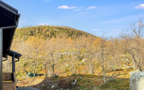 Saanan Taika: Feuille, Branche, Paysage, Colline, Brindille, Matin, Lumière Du Soleil, Pente, L'Automne, Chaîne De Montagnes