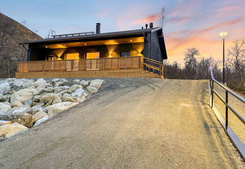 Saanan Taika: Feuille, Végétation, Arbuste, Jardin, Communauté Des Plantes, Aménagement Paysager, Suppression Des Plantes Ligneuses, Pelouse, Ombre, Cour