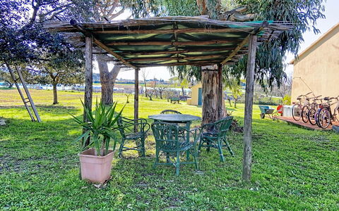 La Casa del Prime: Feuille, Végétation, Arbuste, Jardin, Communauté Des Plantes, Aménagement Paysager, Suppression Des Plantes Ligneuses, Pelouse, Ombre, Cour