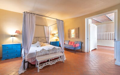 Logement:&nbsp;Mimosa Gialla