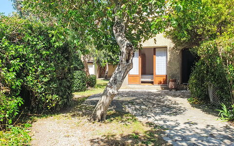 Résidence les Figuiers Fleurs: Feuille, Arbuste, Jardin, Ombre, Suppression Des Plantes Ligneuses, Arrière-Cour, Chalet, Aménagement Paysager, Cour, Biens