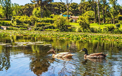 Six Fours la Coudoulière 645: Maison, Zone Résidentielle, Domicile, Toit, Composite, Biens, Chalet, Ombre, Piscine, Villa
