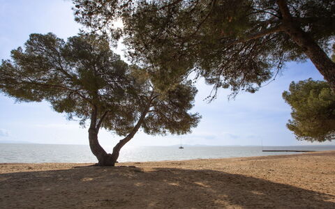 La Londe les Maures 301: Plan D'Eau, Environnement Naturel, Branche, Horizon, Plage, Côte, Le Sable, Écorégion, Cotiers Et Relief Océaniques, Rive