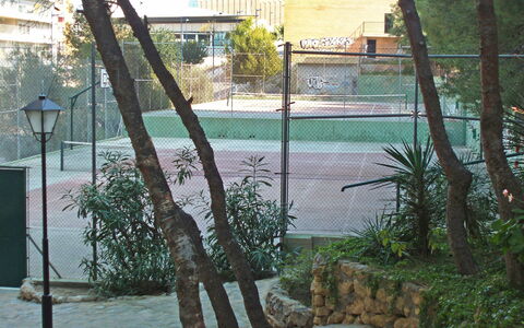 Coblanca Xvi: Plante, Bâtiment, Fenêtre, Branche, Arbre, Architecture, Herbe, Bois, Tronc, Loisir