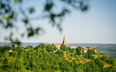 Margherita: Arbuste, Domicile, Maison, Biens, Manoir, Maison Historique, Villa, Siding