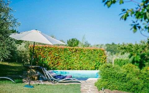 Margherita: Arbuste, Domicile, Maison, Biens, Manoir, Maison Historique, Villa, Siding