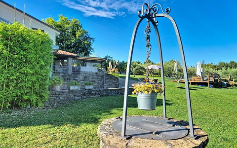 Margherita: Arbuste, Jardin, Printemps, Aménagement Paysager, Pot De Fleur, Pôle, Pelouse, Cour, Ombre