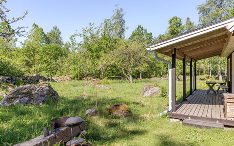 Holmen: Herbe, Arbuste, Lot Terre, Communauté Des Plantes, Zone Rurale, Couverture De Sol, Chalet, Jardin, Printemps