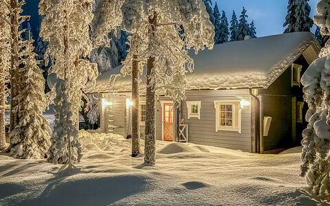 Pankamaa 12: Branche, Bois, Neige, Maison, L'Hiver, Chalet, Domicile, Gelé, Mélèze, Brindille