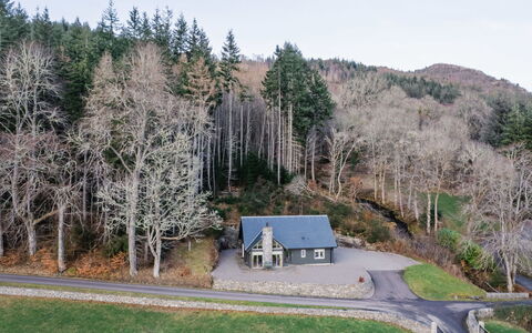 Kennel House: Arbre, Herbe, Branche, Surface De La Route, Maison, Domicile, Route, Arbuste, Chalet, Asphalte