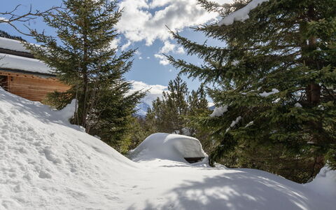 Veni, Vidi, Mansi: Neige, Arbre, Branche, L'Hiver, Terrain, Paysage, Géologique Phénomène, Gelé, Région Sauvage, Pente