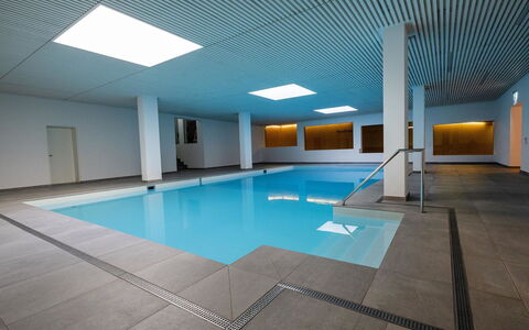La Riva Mountain Apartment: Plafond, Sol, Sol, Piscine, Design Intérieur, Recours, Daylighting, Salle, Conception