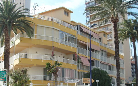 El Junco: Bâtiment, Ciel, Plante, Jour, Propriété, Fenêtre, Arbre, Bloc Tour, Végétation, Design Urbain
