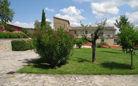 Agriturismo le Case Rosse di Montebuono: Herbe, Arbuste, Paysage, Lot Terre, Jardin, Pelouse, Aménagement Paysager, Cour, Plantation
