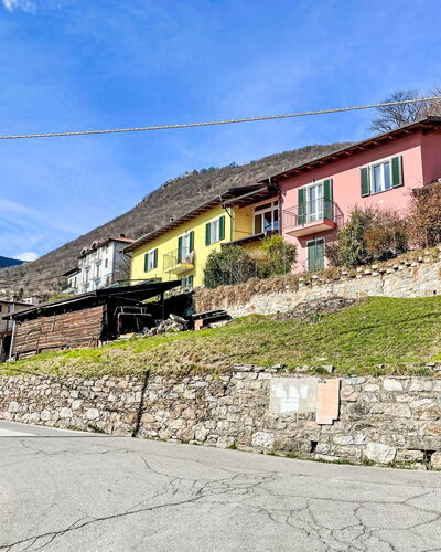 Libellula