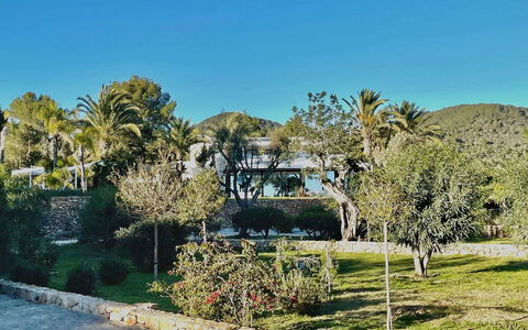 Villa the Marvel: Arbre, Feuille, Végétation, Paysage, Arbuste, Jardin, Aménagement Paysager, Ombre