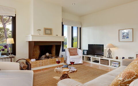 Villa Crab: Meubles, Design Intérieur, Mur, Canapé, Sol, Salon, Bois, Sol, Plafond, Pièce