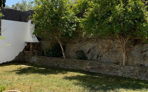 Villa Luisa: Feuille, Suppression Des Plantes Ligneuses, Jardin, Ombre, Mur De Pierre, Arrière-Cour, Aménagement Paysager