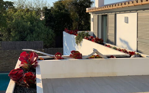 Villa Luisa: Ombre, Béton, Jardin, Pot De Fleur, Aménagement Paysager, Balcon, Conception, Cour, Plante D'Appartement, Arrière-Cour