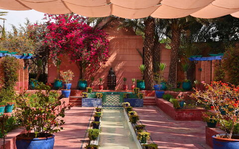 Villa the Garden: Pot De Fleur, Arbuste, Jardin, Printemps, Plante D'Appartement, Aménagement Paysager, Cour, Jardin Botanique, Cour
