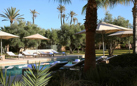 Villa Eleganza: Piscine, Recours, Mobilier De Jardin, Balancelle, Ombre, Chaise, Aménagement Paysager, Eco Hôtel, Hôtel