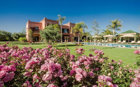 Villa Annarosa: Jardin, Biens, Manoir, Aménagement Paysager, Recours, Hacienda, Pelouse, Villa, Eco Hôtel