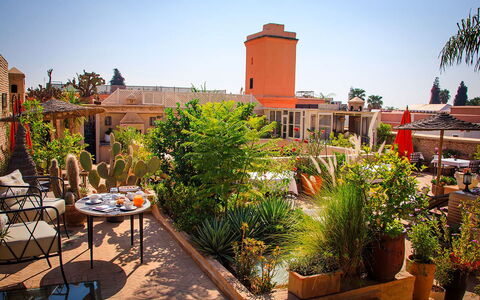 Riad Ikram: Pot De Fleur, Plante D'Appartement, Jardin, Chaise, Aménagement Paysager, Mobilier De Jardin, Hacienda, Patio, Eco Hôtel, Cour