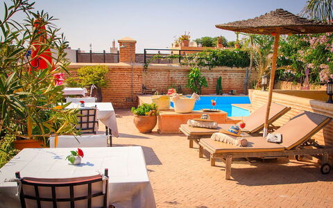Riad Ikram: Piscine, Meubles, Mobilier De Jardin, Recours, Parapluie, Chaise, Balancelle, Pot De Fleur, Plante D'Appartement, Eco Hôtel