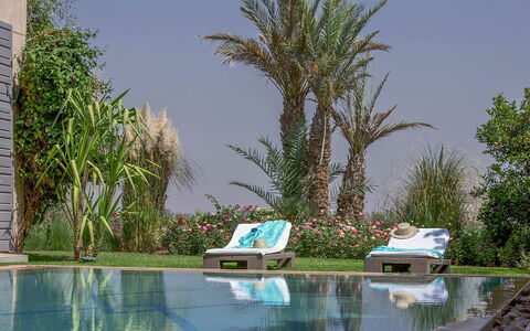 Villa Orange Trees: Piscine, Recours, Mobilier De Jardin, Meubles, Eco Hôtel, Jardin, Balancelle, Aménagement Paysager, Ombre, Arrière-Cour