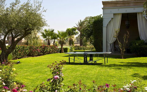 Villa Orange Trees: Arbre, Herbe, Jardin, Paysage, Arbuste, Pelouse, Lot Terre, Ombre, Cour