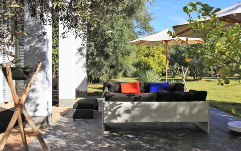 Villa Susan: Meubles, Mobilier De Jardin, Ombre, Jardin, Chaise, Aménagement Paysager, Balancelle, Pelouse, Cour, Eco Hôtel