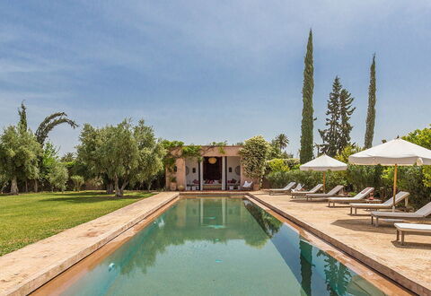 Villa Zagar: Arbre, Piscine, Biens, Hacienda, Aménagement Paysager, Jardin, Recours, Villa, Plantation, Eco Hôtel