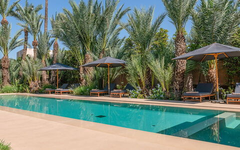 Dar Sun: Piscine, Recours, Eco Hôtel, Mobilier De Jardin, Hacienda, Balancelle, Hôtel, Biens, Villa