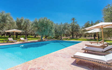 Villa Royale: Bleu, Piscine, Recours, Ombre, Aménagement Paysager, Jardin, Eco Hôtel, Mobilier De Jardin, Hacienda
