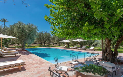 Villa Royale: Piscine, Recours, Mobilier De Jardin, Ombre, Biens, Jardin, Hacienda, Aménagement Paysager, Villa, Miroir D'Eau