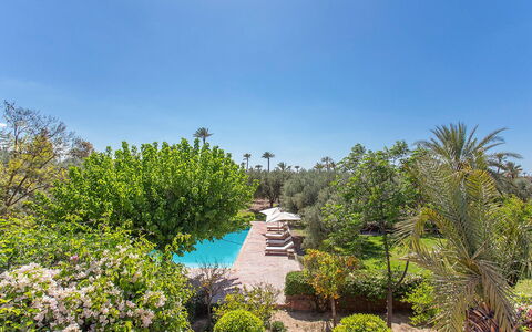 Villa Royale: Arbuste, Recours, Jardin, Piscine, Aménagement Paysager, Hacienda, Biens, Eco Hôtel, Ombre