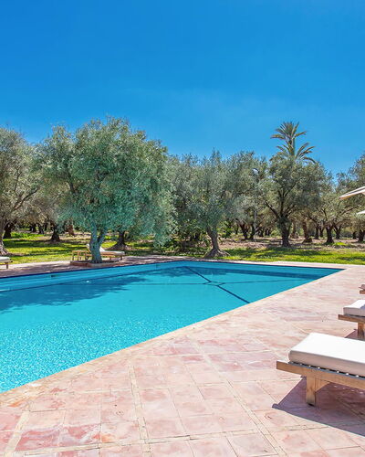 Villa Royale: Bleu, Piscine, Recours, Ombre, Aménagement Paysager, Jardin, Eco Hôtel, Mobilier De Jardin, Hacienda
