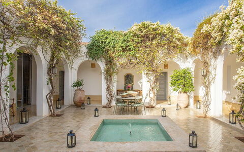 Villa Mauri: Cambre, Pot De Fleur, Biens, Cour, Hacienda, Plante D'Appartement, Jardin, Manoir, Conception, Caractéristique De L'Eau