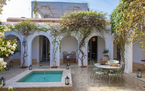 Villa Mauri: Pot De Fleur, Piscine, Cambre, Biens, Recours, Cour, Hacienda, Plante D'Appartement, Ombre, Eco Hôtel