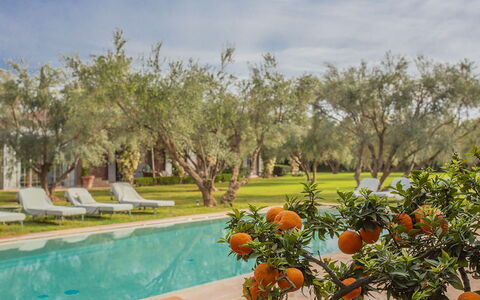Villa Mauri: Piscine, Jardin, Recours, Pelouse, Ombre, Hacienda, Aménagement Paysager, Arrière-Cour, Biens, Cour