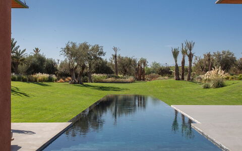 Villa Palmeraie: Réflexion, Piscine, Aménagement Paysager, Étang, Miroir D'Eau, Ombre, Caractéristique De L'Eau