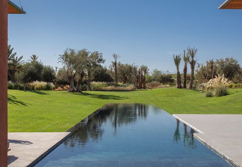Villa Palmeraie: Réflexion, Piscine, Aménagement Paysager, Étang, Miroir D'Eau, Ombre, Caractéristique De L'Eau